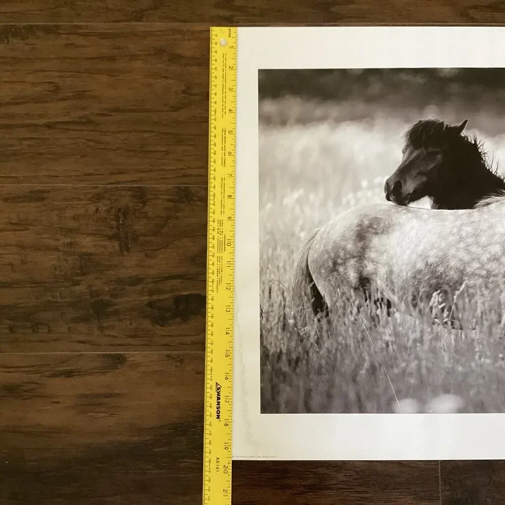 Photography Art Print - Horses
